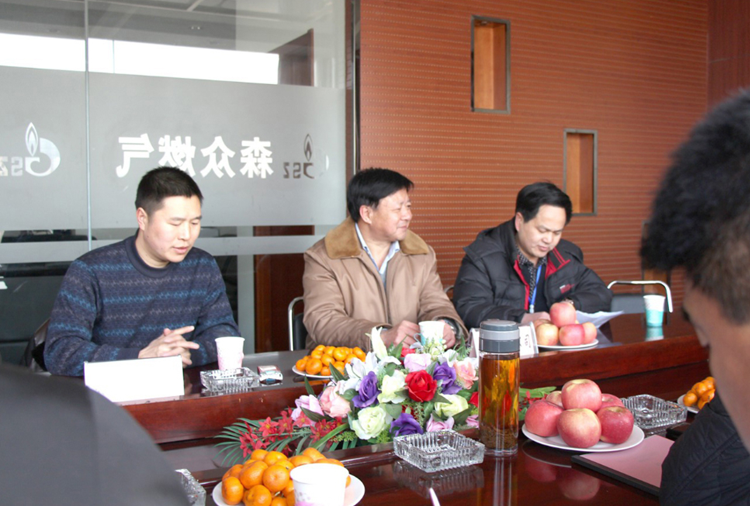 林口县政府与郑州明宇照明工程有限公司燃气项目洽谈.png